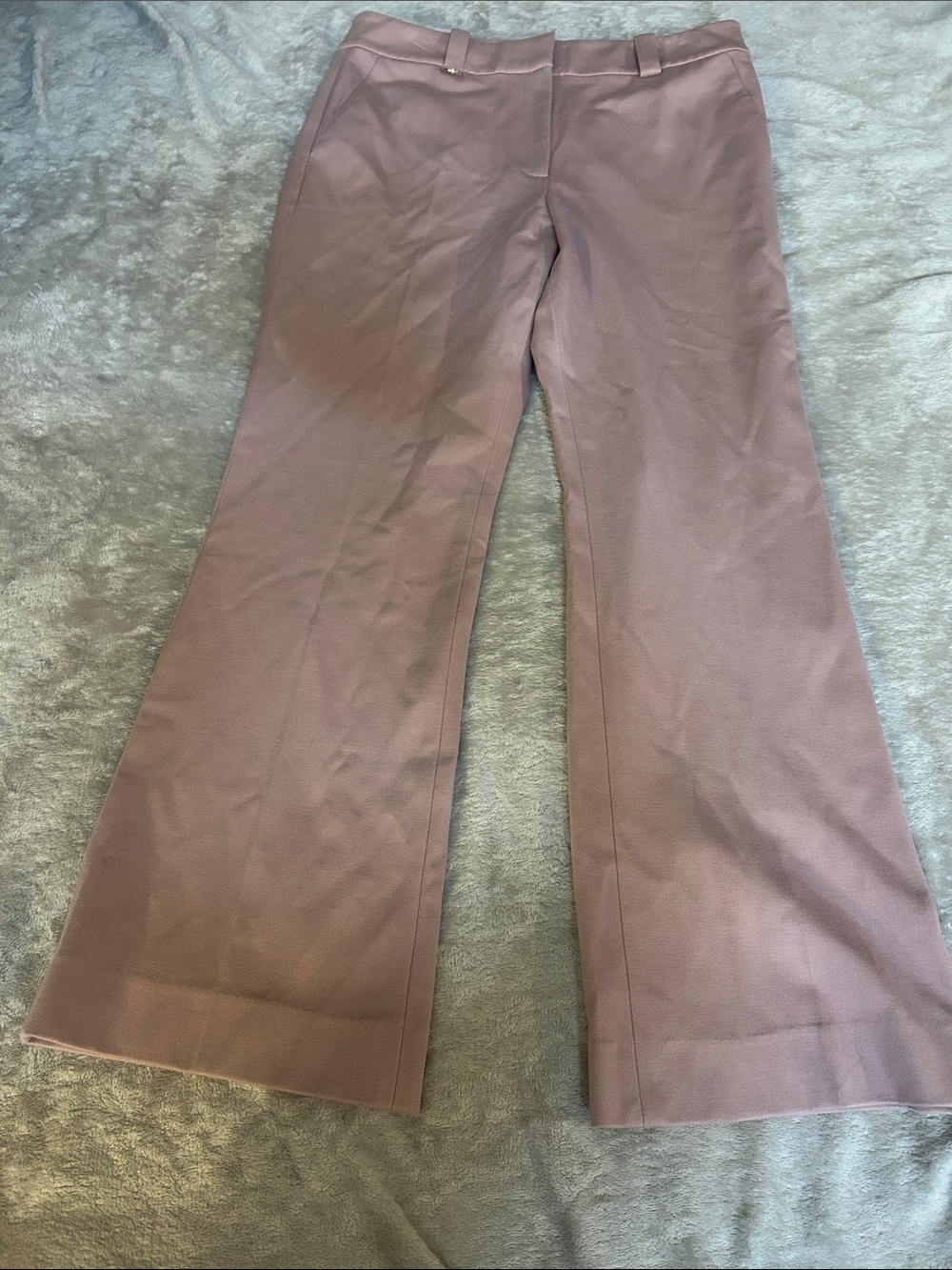 NWT WHBM bootcut dress pant